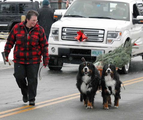 Littleton Christmas Parade 2104
Lynn with Bentley and Molly.
Photo by Lloyd Jones.
