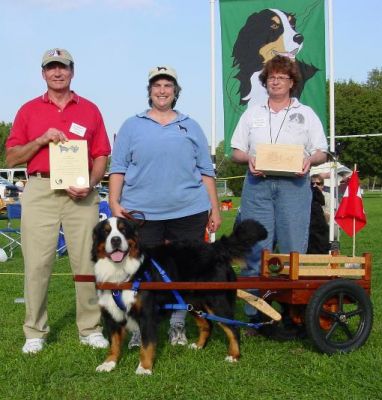 Barbie and Mac Novice Draft Dog Test PVBMDC 2002
