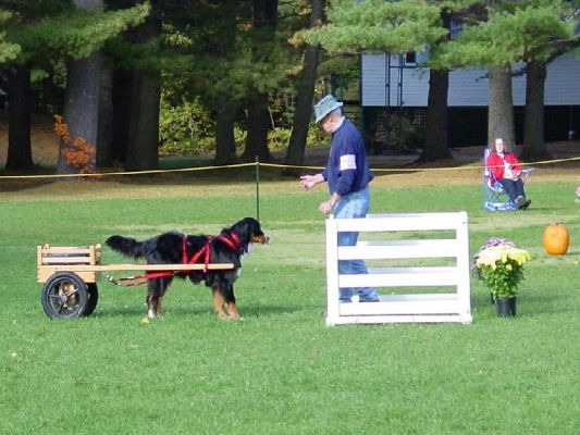 Buck Sykes and Molly B with Deluxe Cherry Small Competition at Nashoba Valley Test 2003
