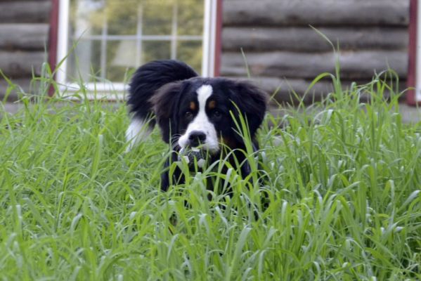 Moriah 7 Months Old.
Stalking butterflies?
