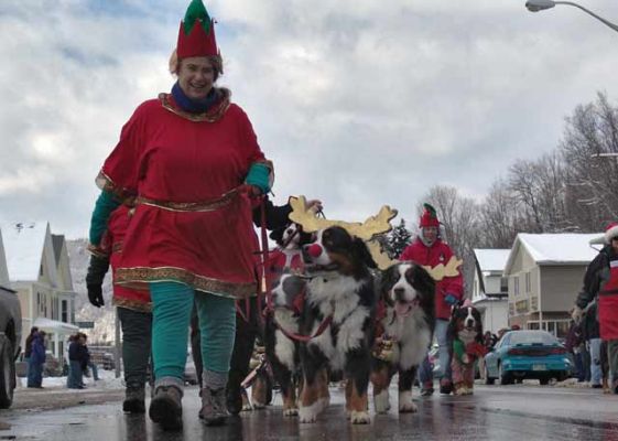 Parade Entorage
Fun was had by all....
Keywords: bernese