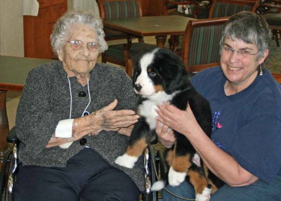 Balsam At Riverglen House
10 weeks old.
