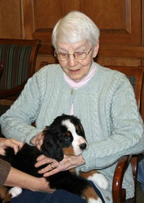 Puppy Party At Riverglen House
