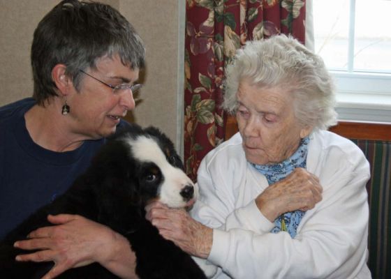 Balsam At Riverglen House 
10 weeks old.
