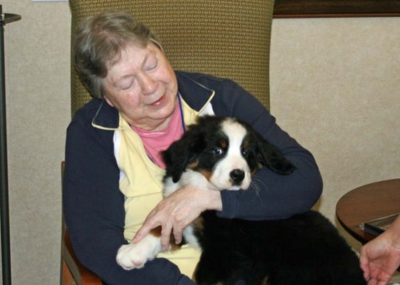 Balsam At Riverglen House
10 weeks old.
