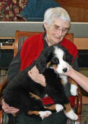 Balsam At Riverglen House
10 weeks old.
