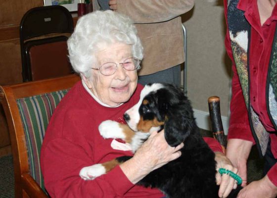 Puppy Party At Riverglen House
