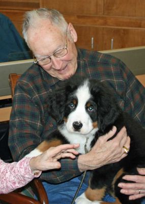 Balsam At Riverglen House
10 weeks old.
