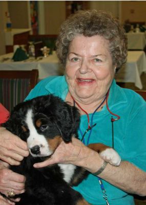 Puppy Party At Riverglen House
