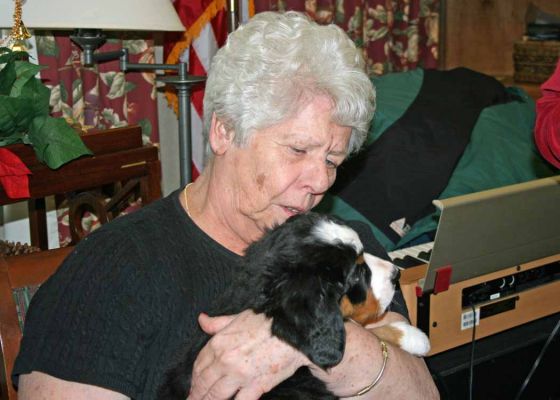 Puppy Party At Riverglen House
