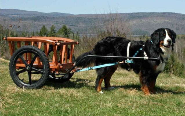 Basic Hay Cart
Pneumatic Fiberglass Wheels with Aluminum Shafts
