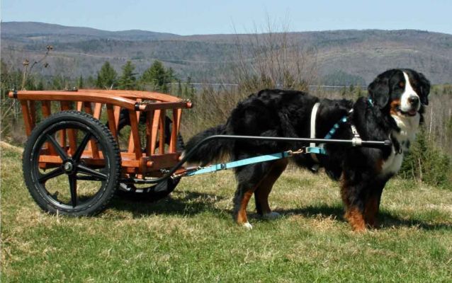 Basic Hay Cart
Pneumatic Fiberglass Wheels with Aluminum Shafts
