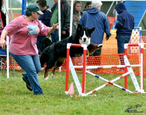 Ripley and Barbie
Open Agility Preferred Trial
Completing her Versatility Excellent Title
