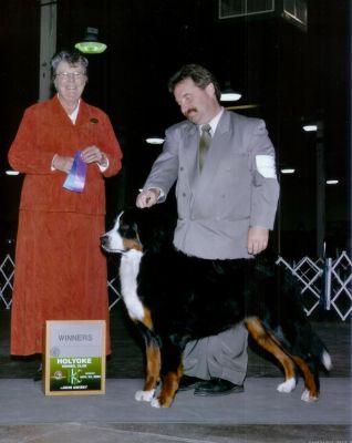 Ripley Winners Bitch - 2 Points
Ripley at 14 months old takes Winners Bitch with Kent MacFarlane from the 12-18 month class.
