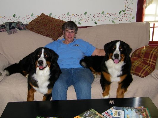 Ripley and Deva
Littermates during a weekend of shows  Ripley is on the left and Deva is on the right.  That is Barbie in the middle.
