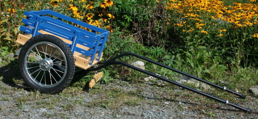 Small WIN Cart with 16 Inch Steel Spoke Wheels
