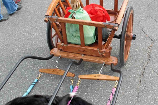 Hay Cart Brace Upgrade
Hay Carts can now be upgraded for brace.
