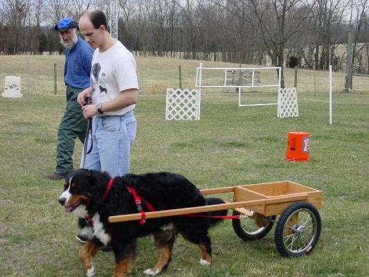 Barry Huey and Timber with Basic Red Oak Small Competition Cart getting help from Jerry Pixton
