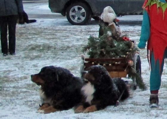 Trigger and Laser (minus Jon Cons)
At the end of the parade.
