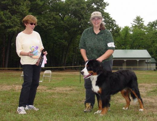 Jefferson - Best Puppy at the Nashoba Valley Fall Fun Day
