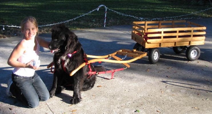 Warkenthein Family in Florida with Large Red Oak Basic Wagon
