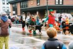 Filename=2008Littletonparade14.JPG
Filesize=136KiB
Dimensions=909x614
Date added=Jan 19, 2009 2008Littletonparade14.JPG