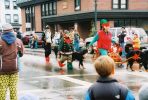 2008Littletonparade14.JPG