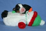 Filename=4000FTPUPPIESDAY2_MORIAH006~0.jpg
Filesize=97KiB
Dimensions=1724x1149
Date added=Nov 13, 2012 4000FTPUPPIESDAY2_MORIAH006~0.jpg