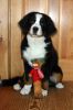 Balsam5MonthsOld_edited-1.jpg