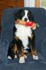 Balsam6monthsold_edited-1.jpg