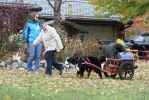 Filename=Barbie_9.jpg
Filesize=204KiB
Dimensions=640x427
Date added=Nov 18, 2012 Barbie_9.jpg