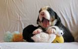 Filename=Bartlett_Day15_010.jpg
Filesize=102KiB
Dimensions=2378x1499
Date added=Jun 27, 2014 Bartlett_Day15_010.jpg