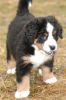 Filename=Bunnell46Days.jpg
Filesize=95KiB
Dimensions=557x834
Date added=Jan 02, 2005 Bunnell46Days.jpg