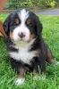 Filename=Cnway_Day33_002.jpg
Filesize=104KiB
Dimensions=800x1200
Date added=Jul 15, 2014 Cnway_Day33_002.jpg