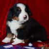 Filename=Crawford30Days.jpg
Filesize=55KiB
Dimensions=611x603
Date added=Dec 16, 2004 Crawford30Days.jpg
