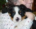 Filename=Crawford45Days.jpg
Filesize=102KiB
Dimensions=922x739
Date added=Jan 02, 2005 Crawford45Days.jpg