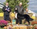 Filename=GordieFirstPoint.jpg
Filesize=107KiB
Dimensions=576x458
Date added=Nov 30, 2011 GordieFirstPoint.jpg