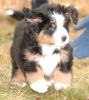 Filename=Jefferson46days.JPG
Filesize=104KiB
Dimensions=626x700
Date added=Jan 02, 2005 Jefferson46days.JPG