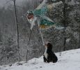Filename=KedronFirstSnow.jpg
Filesize=149KiB
Dimensions=890x768
Date added=Nov 16, 2007 KedronFirstSnow.jpg