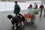 Filename=Littleton_015sf.jpg
Filesize=129KiB
Dimensions=1200x800
Date added=Nov 28, 2014 Littleton_015sf.jpg