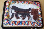 Filename=Littleton_018sf.jpg
Filesize=121KiB
Dimensions=1200x800
Date added=Nov 28, 2014 Littleton_018sf.jpg