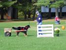 Filename=Molly_B.jpg
Filesize=98KiB
Dimensions=800x600
Date added=Dec 04, 2004 Molly_B.jpg