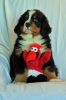 Filename=RandolphDay56_042.jpg
Filesize=101KiB
Dimensions=800x1200
Date added=Aug 08, 2014 RandolphDay56_042.jpg