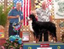 Filename=RipleyBOB_edited-1.jpg
Filesize=105KiB
Dimensions=999x772
Date added=Jul 18, 2011 RipleyBOB_edited-1.jpg
