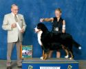 Filename=RipleyGCH_edited-2.jpg
Filesize=92KiB
Dimensions=987x784
Date added=Sep 09, 2011 RipleyGCH_edited-2.jpg