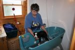 Filename=SabbadayfirstBath.JPG
Filesize=64KiB
Dimensions=777x518
Date added=Nov 26, 2007 SabbadayfirstBath.JPG