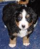Filename=SweetMadison.jpg
Filesize=98KiB
Dimensions=682x820
Date added=Feb 18, 2006 SweetMadison.jpg