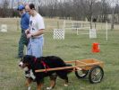 Filename=Timber.jpg
Filesize=119KiB
Dimensions=800x600
Date added=Dec 04, 2004 Timber.jpg