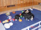 Filename=Week3.2.jpg
Filesize=102KiB
Dimensions=800x600
Date added=Dec 09, 2004 Week3.2.jpg