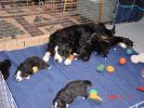 Filename=Week3.jpg
Filesize=115KiB
Dimensions=800x600
Date added=Dec 09, 2004 Week3.jpg